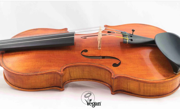 vegan viool