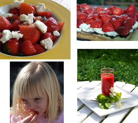 aardbei comp