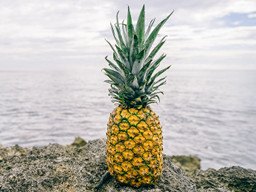 ananas strand